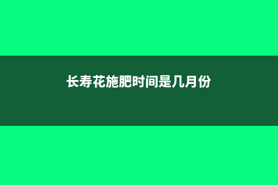 长寿花施肥时间，施肥后叶软发黄怎么办 (长寿花施肥时间是几月份)