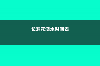 长寿花浇水时间，浇水过多叶片发黄怎么办 (长寿花浇水时间表)