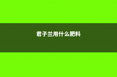 君子兰用什么肥料，怎么配制 (君子兰用什么肥料)