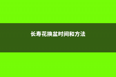 长寿花换盆时间，换盆后叶子发软怎么办 (长寿花换盆时间和方法)