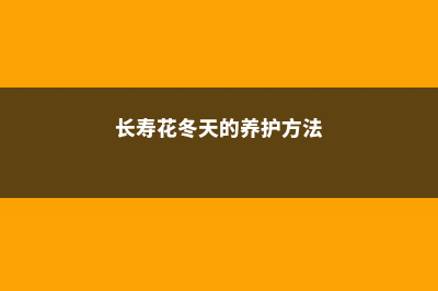 长寿花冬天的养殖方法和注意事项，冬天可以放在外面吗 (长寿花冬天的养护方法)