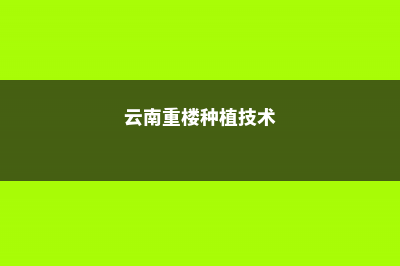 云南重楼的养殖方法和注意事项 (云南重楼种植技术)