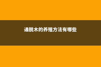 通脱木的养殖方法和注意事项 (通脱木的养殖方法有哪些)