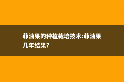 菲油果的养殖方法和注意事项 (菲油果的种植栽培技术:菲油果几年结果?)