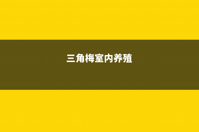 三角梅养殖的环境要求，养在背太阳的地方会开花吗 (三角梅室内养殖)