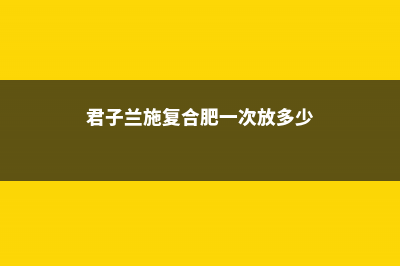 君子兰施复合肥行吗，施复合肥一次放多少 (君子兰施复合肥一次放多少)