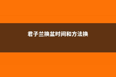 君子兰换盆时间和方法，换盆后如何浇水 (君子兰换盆时间和方法换)