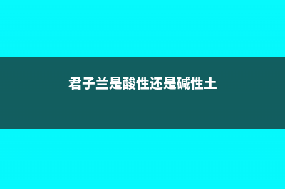 君子兰是酸性还是碱性，冬季的养殖方法和注意事项 (君子兰是酸性还是碱性土)