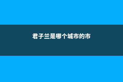 君子兰是哪个城市的市花，君子兰花图片 (君子兰是哪个城市的市)