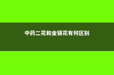 金银花和二花的区别，金银花图片 (中药二花和金银花有何区别)