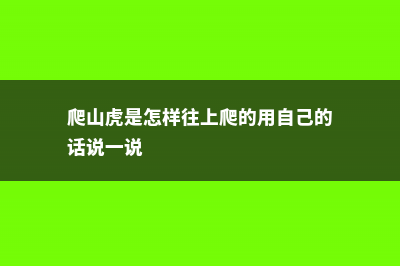 爬山虎是怎样往上爬的，怎样繁殖剪枝 (爬山虎是怎样往上爬的用自己的话说一说)