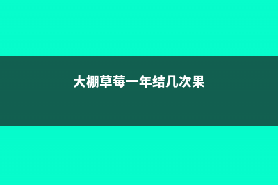 大棚草莓一年结几次果，什么时候结果 (大棚草莓一年结几次果)