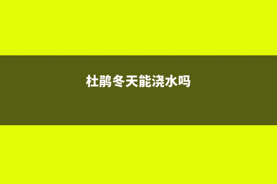 杜鹃冬季可以施肥吗，施肥过浓时掉叶还是什么情况 (杜鹃冬天能浇水吗)