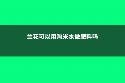 兰花可以用淘米水吗，浇花的兑水比例 (兰花可以用淘米水做肥料吗)