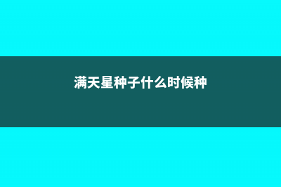 满天星种子什么时候播种，种子种植方法 (满天星种子什么时候种)