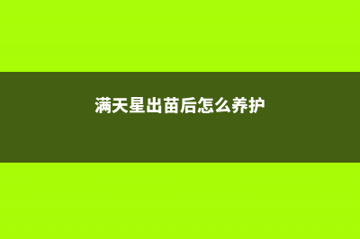 满天星小苗上盆后怎么养护，为什么会倒苗 (满天星出苗后怎么养护)