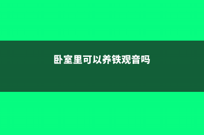 卧室里可以养铁皮石斛吗，有什么注意事项 (卧室里可以养铁观音吗)