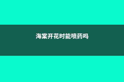 海棠可以每天喷水吗，浇水注意事项 (海棠开花时能喷药吗)