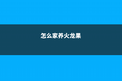 怎么在家养火龙果，多少度会冻 (怎么家养火龙果)