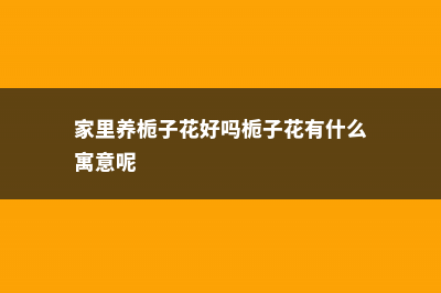 家里养栀子花吉利吗，为啥不吉利 (家里养栀子花好吗栀子花有什么寓意呢)