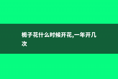 栀子花什么时候生长快，怎么才能长的快 (栀子花什么时候开花,一年开几次)