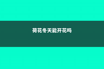 荷花冬天能开花吗，冬季如何养护 (荷花冬天能开花吗)