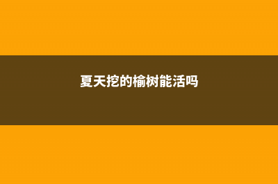 几月份野外挖榆树好，野外挖的榆树怎么栽 (夏天挖的榆树能活吗)