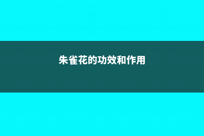 朱雀花的养殖方法和注意事项 (朱雀花的功效和作用)