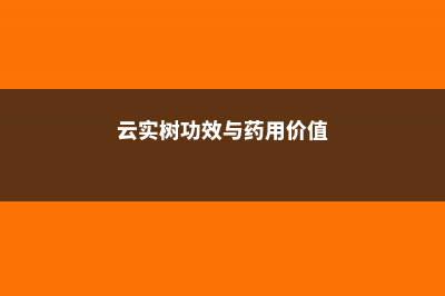 云实的养殖方法和注意事项 (云实树功效与药用价值)