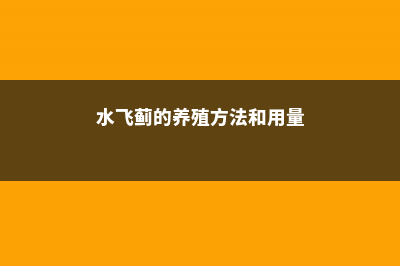 水飞蓟的养殖方法和注意事项 (水飞蓟的养殖方法和用量)