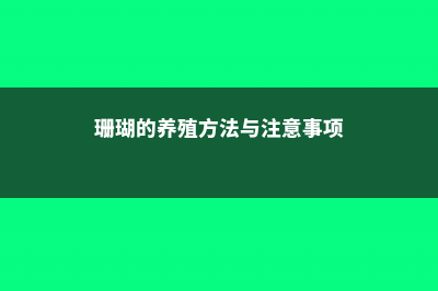 珊瑚朴的养殖方法和注意事项 (珊瑚的养殖方法与注意事项)