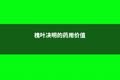 槐叶决明的养殖方法和注意事项 (槐叶决明的药用价值)