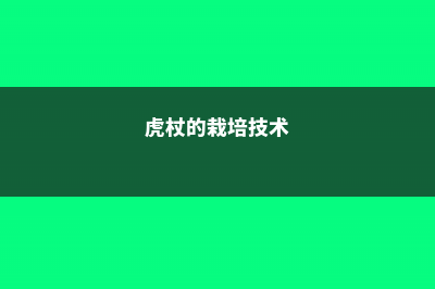 虎杖的养殖方法和注意事项 (虎杖的栽培技术)