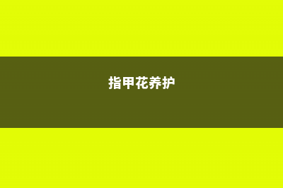 多花指甲兰的养殖方法和注意事项 (指甲花养护)