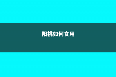 阳桃的养殖方法和注意事项 (阳桃如何食用)