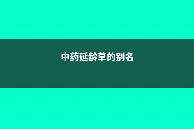 延龄草的养殖方法和注意事项 (中药延龄草的别名)