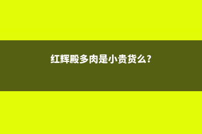 红辉艳的养殖方法和注意事项 (红辉殿多肉是小贵货么?)