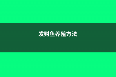 发财王的养殖方法和注意事项 (发财鱼养殖方法)