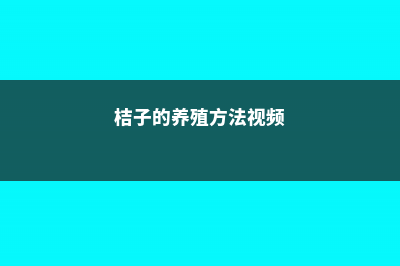 桔子的养殖方法和注意事项 (桔子的养殖方法视频)