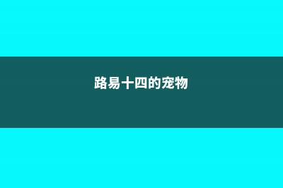 路易十四的养殖方法和注意事项 (路易十四的宠物)