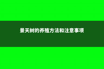 景天树的养殖方法和注意事项 (景天树的养殖方法和注意事项)