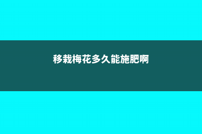 移栽梅花多久能生根，梅花何时移栽易成活 (移栽梅花多久能施肥啊)