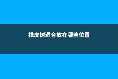 橡皮树适合放在家里养吗，可以在什么地方养 (橡皮树适合放在哪些位置)