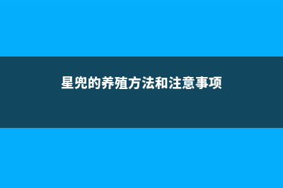 星兜的养殖方法，适合用深盆还是浅盆 (星兜的养殖方法和注意事项)