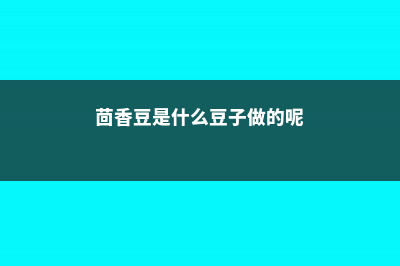 茴香豆是什么豆，茴香豆的营养价值 (茴香豆是什么豆子做的呢)