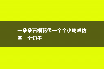 一朵朵石榴花像什么，盛开的石榴花像什么 (一朵朵石榴花像一个个小喇叭仿写一个句子)