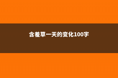 含羞草一天的变化过程，早上到晚上的变化 (含羞草一天的变化100字)