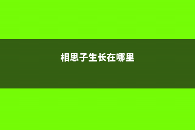 相思子的养殖方法 (相思子生长在哪里)