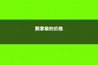 金平鹅掌柴的养殖方法 (鹅掌柴的价格)