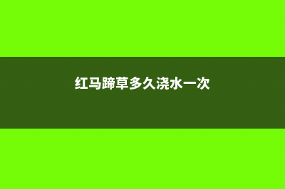 红马蹄草的养殖方法 (红马蹄草多久浇水一次)